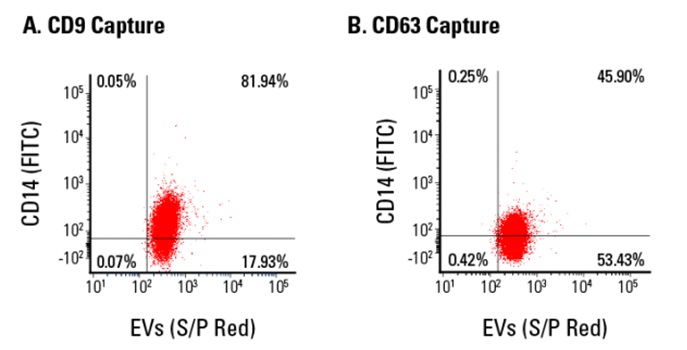 CD14フローサイトメトリー解析
